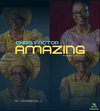 Chris Factor